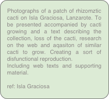 Photographs of a patch of rhizomztic cacti on Isla Graciosa, Lanzarote. To be presented accompanied by cacti growing and a text describing the collection, loss of the cacti, research on the web and aqasiton of similar cacti to grow. Creating a sort of disfunctional reproduction.
Including web texts and supporting material.

ref: Isla Graciosa